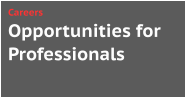 Opportunities for Professionals Careers